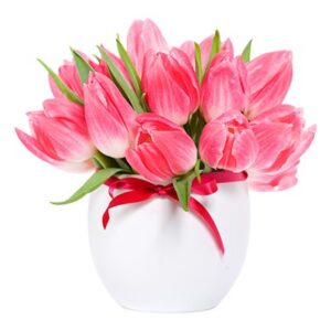 Bunga Tulip Pink