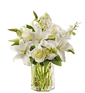 Bunga Lily