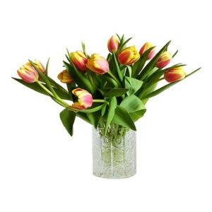 Bunga Tulip Orange