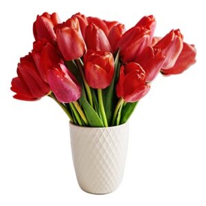 Bunga Tulip Merah