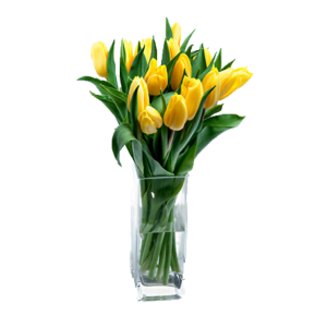 Bunga Tulip Kuning